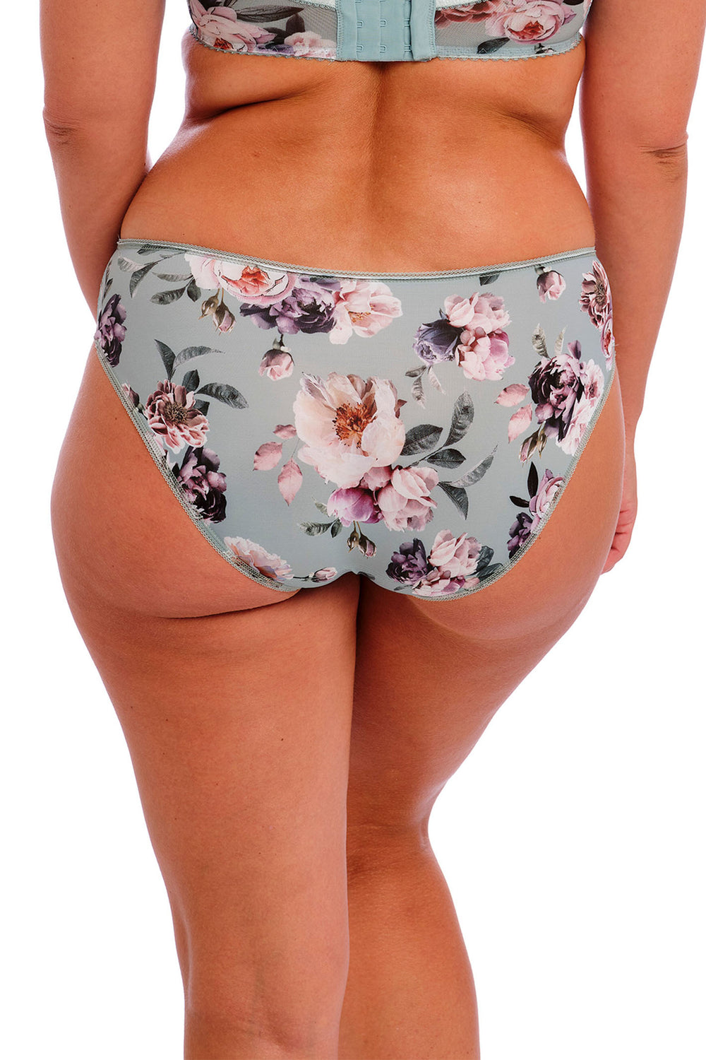 Fantasie FL100750MEA Pippa Meadow Brief - Shirley Allum Boutique